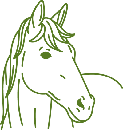 Gezeichnetes grünes Pferdeportrait mit Mähne